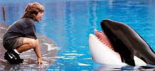 free willy the movie